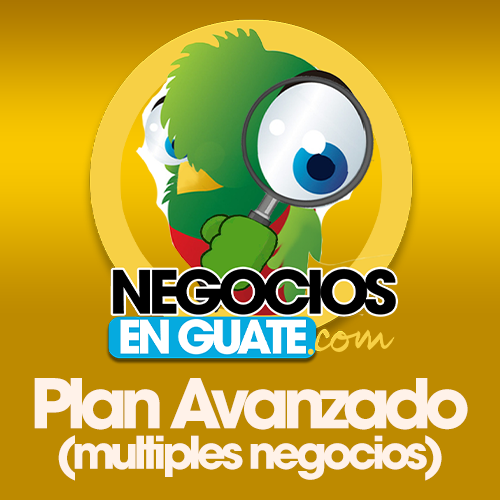 Plan Avanzado (Múltiples Negocios)